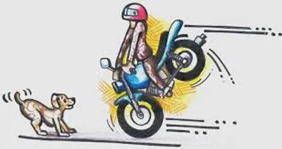 Illustration sharply - Image 2