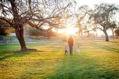 Illustration sunlit - Image 2