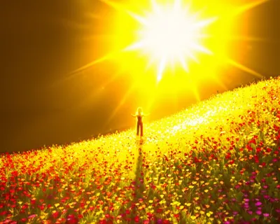 Illustration gracing - Image 1