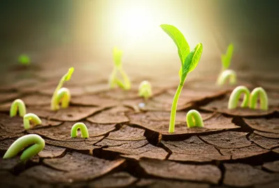 Illustration emerged - Image 1