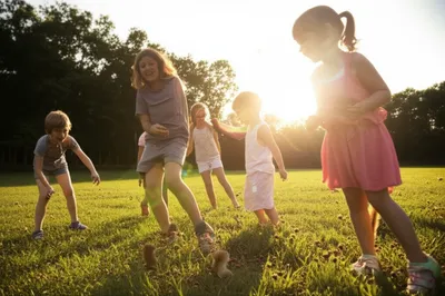 Illustration cobnuts - Image 1