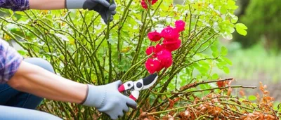 Illustration trashing - Image 1