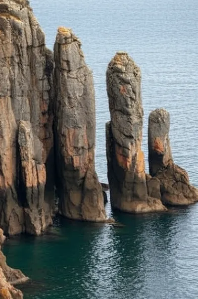 Illustration tongues - Image 1