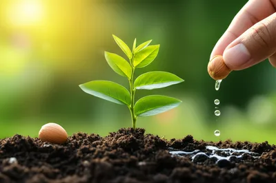 Illustration gig - Image 1