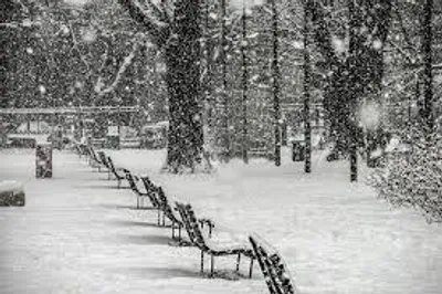 Illustration snowy - Image 2