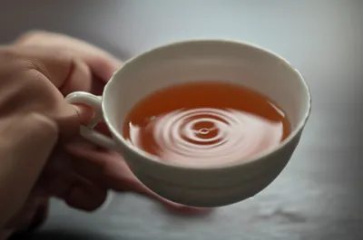 Illustration twitter - Image 1