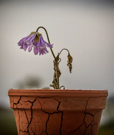 Illustration worse - Image 1