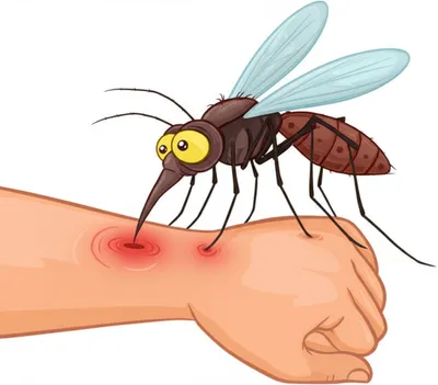 Illustration stinging - Image 1