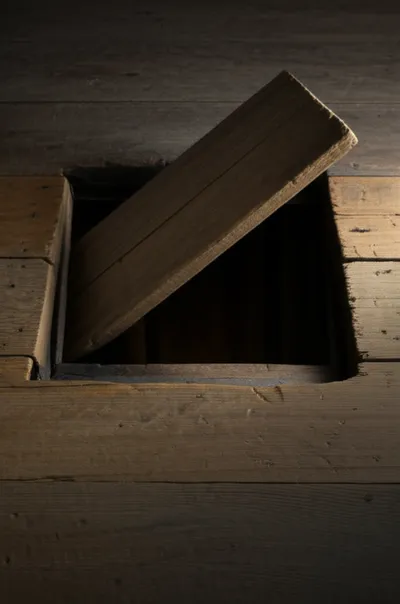 Illustration hatch - Image 1