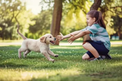 Illustration coming - Image 1