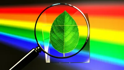 Illustration optics - Image 1