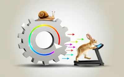 Illustration rates - Image 1