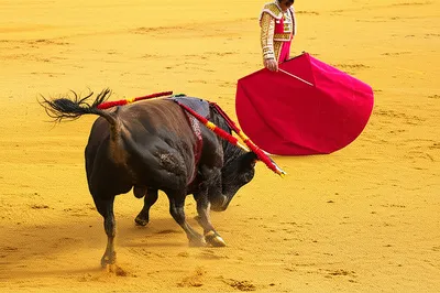 Illustration goading - Image 1