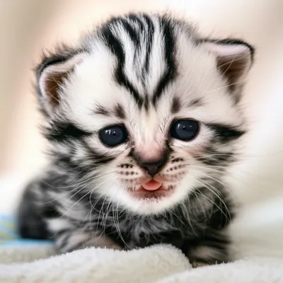 Illustration mew - Image 1