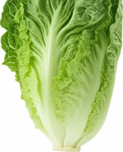 Illustration cos - Image 1