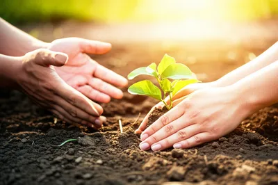 Illustration preaches - Image 1