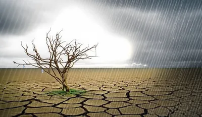 Illustration relents - Image 1