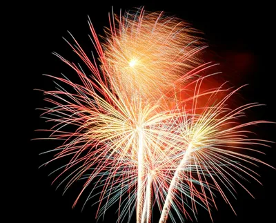 Illustration poppers - Image 1