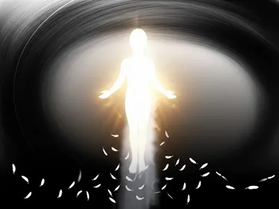 Illustration justified - Image 1