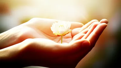 Illustration admire - Image 1