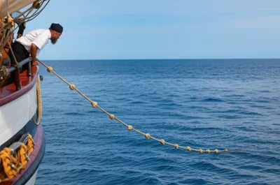 Illustration knots - Image 1