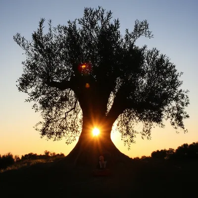 Illustration enlightened - Image 1