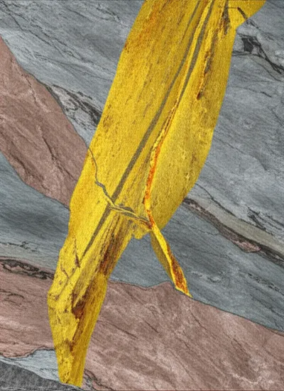 Illustration shoots - Image 1