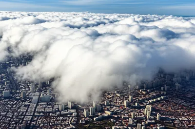 Illustration blanketed - Image 1