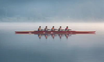 Illustration shells - Image 1