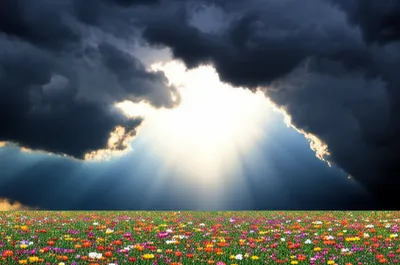 Illustration dispelling - Image 1