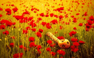 Illustration h - Image 1