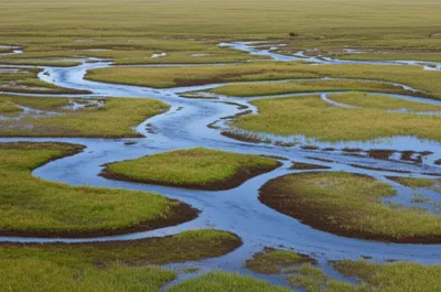 Illustration brooks - Image 1