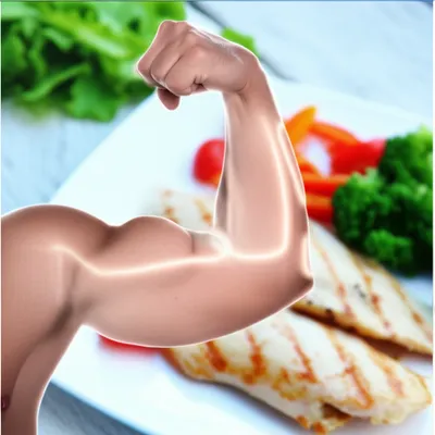 Illustration anabolic - Image 1