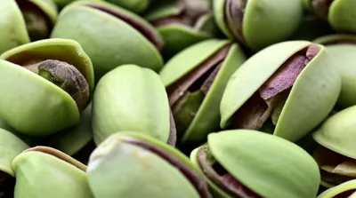 Illustration pistachios - Image 1