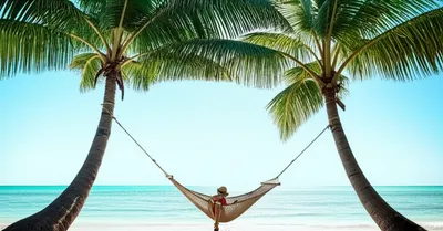 Illustration hammock - Image 1