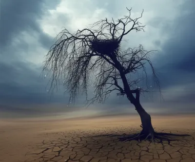 Illustration woe - Image 1