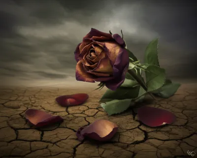 Illustration worst - Image 1