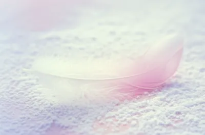 Illustration softer - Image 1