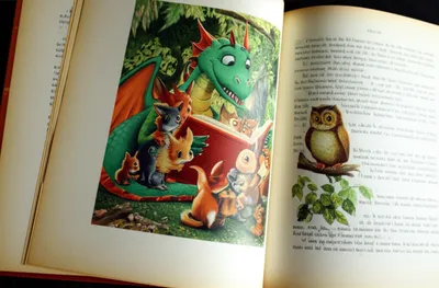 Illustration plates - Image 1