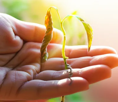 Illustration soothed - Image 1