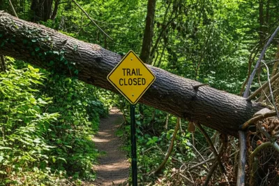 Illustration tour - Image 1