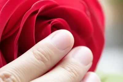 Illustration caress - Image 1