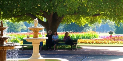 Illustration amenity - Image 1