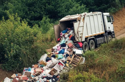 Illustration dumped - Image 1