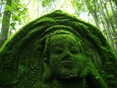 Illustration mossed - Image 1