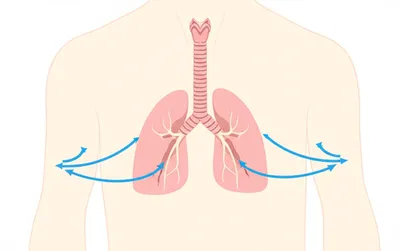 Illustration expiration - Image 1