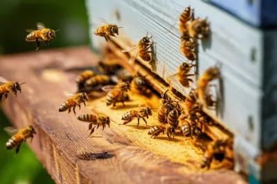 Illustration humming - Image 1