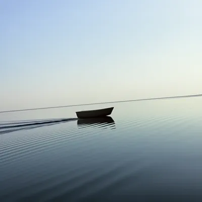 Illustration skimmed - Image 1