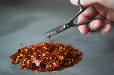 Illustration snip - Image 1