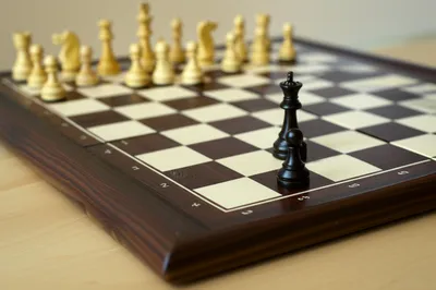 Illustration stales - Image 1